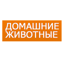 Домашние животные
